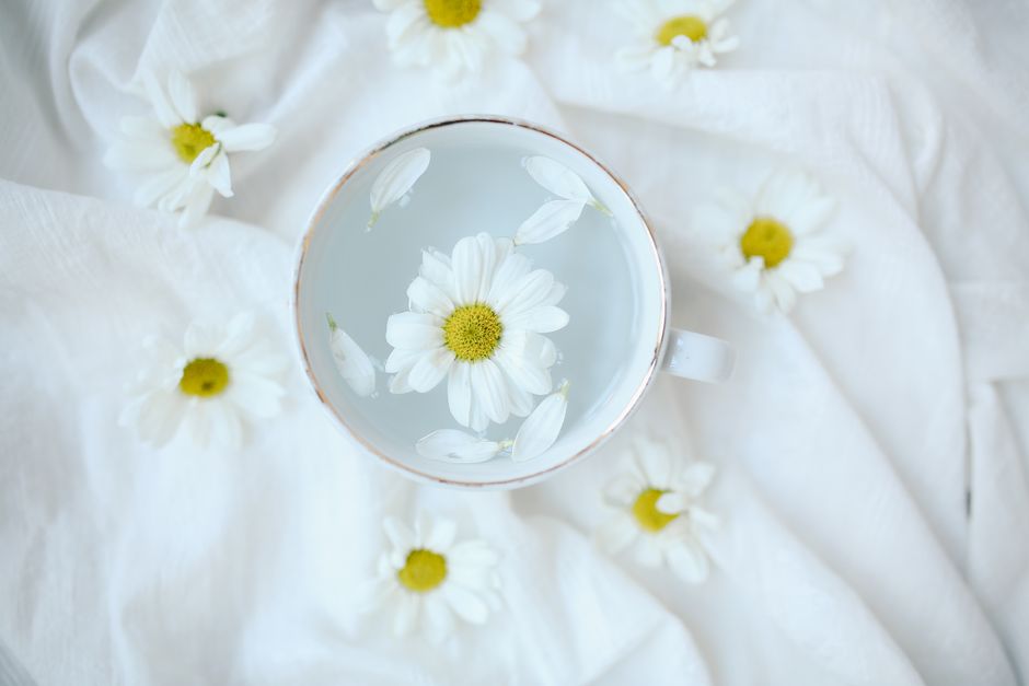 Top view of daisies floating in a cup of water on a white background, soft and minimalistic.
