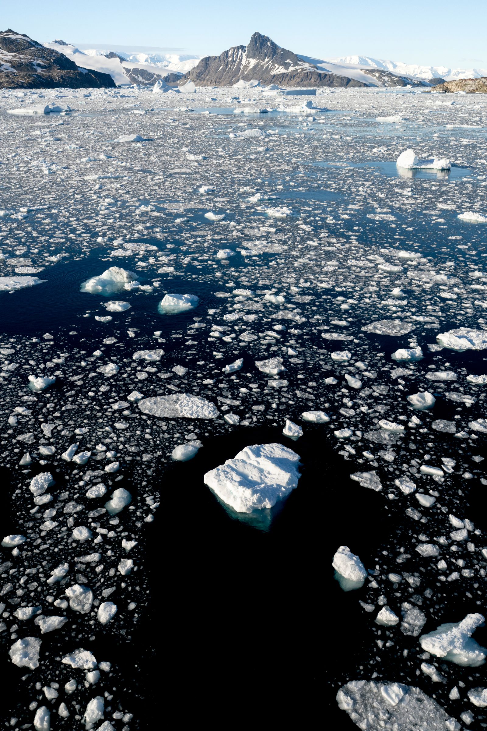 Ice floes in Antarctica with a mountain backdrop under bright polar light