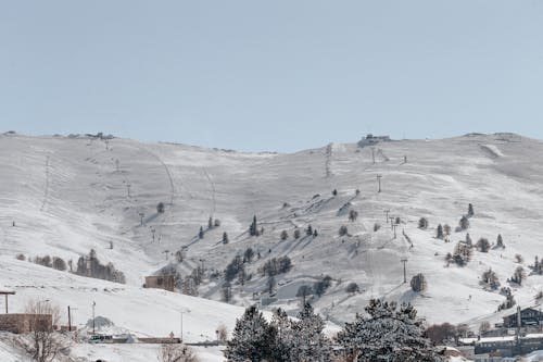 Imagine de stoc gratuită din dealuri, frig, iarnă