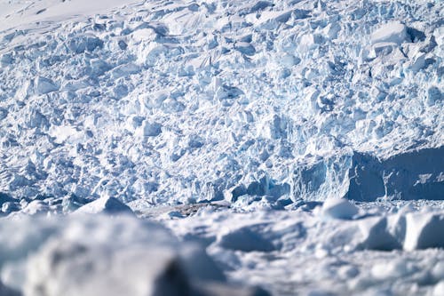 Бесплатное стоковое фото с зима, лед, ледник