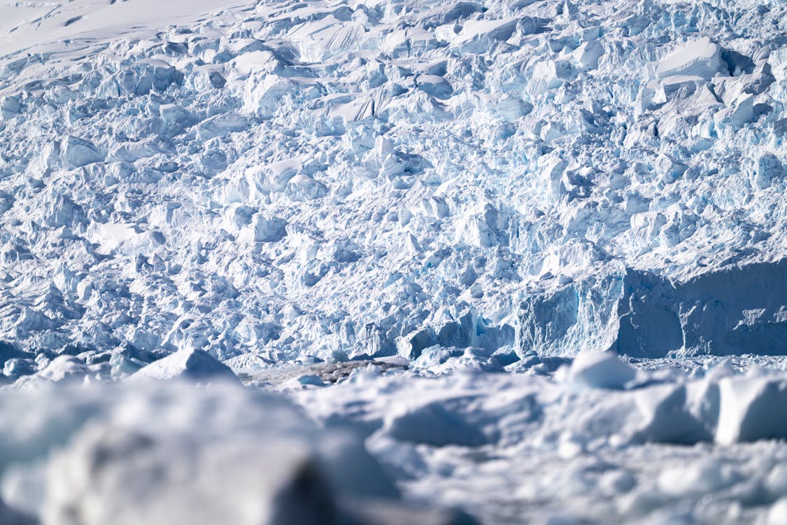 Základová fotografie zdarma na téma led, ledovec, rýma