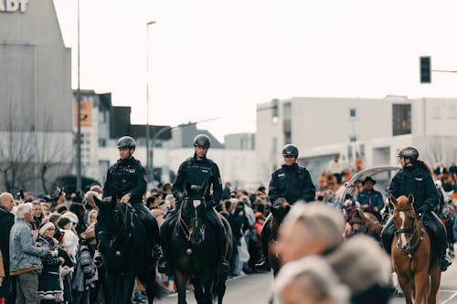 Foto profissional grátis de cavalgada, cavalos, cidade