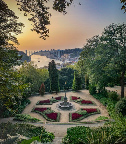 Kostnadsfri bild av botanisk trädgård, douro river, kristallpalatset