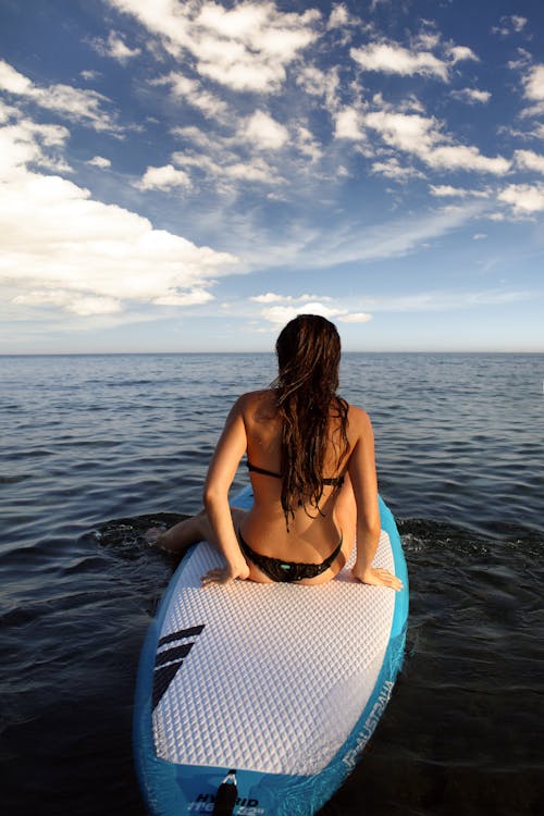 무료 흰색과 파란색 서핑 보드에 앉아 여자 스톡 사진