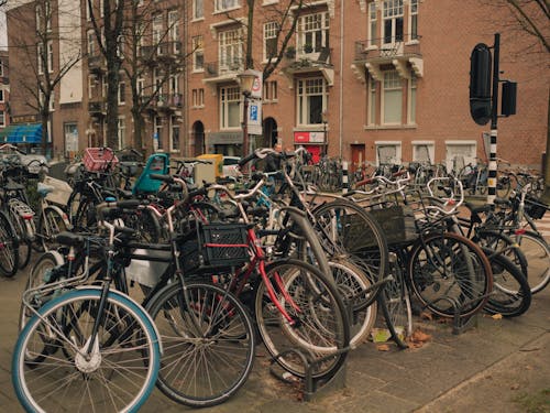 A row of bicycles parked on a sidewalk