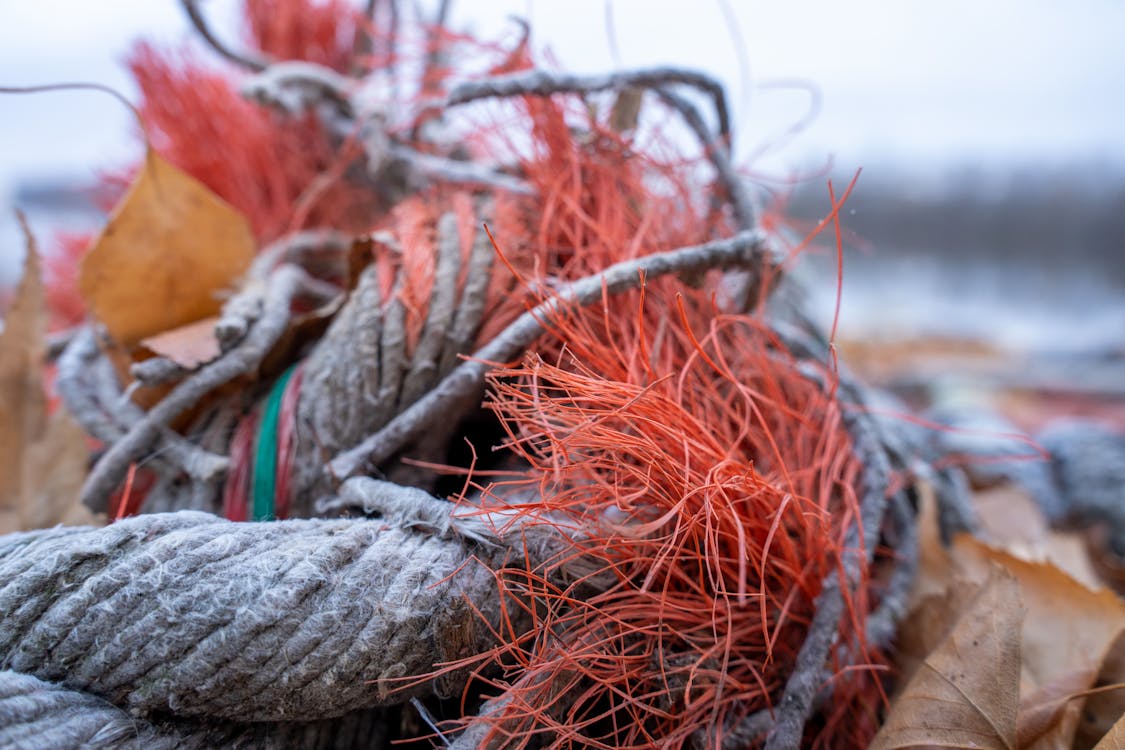 Tangled Ropes Lying Outdoors in Autumn ยท Free Stock Photo