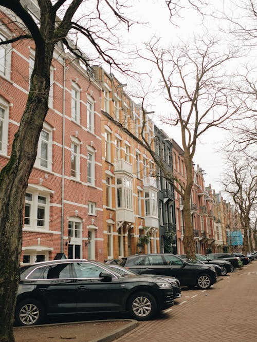 Základová fotografie zdarma na téma Amsterdam, asfalt, auta