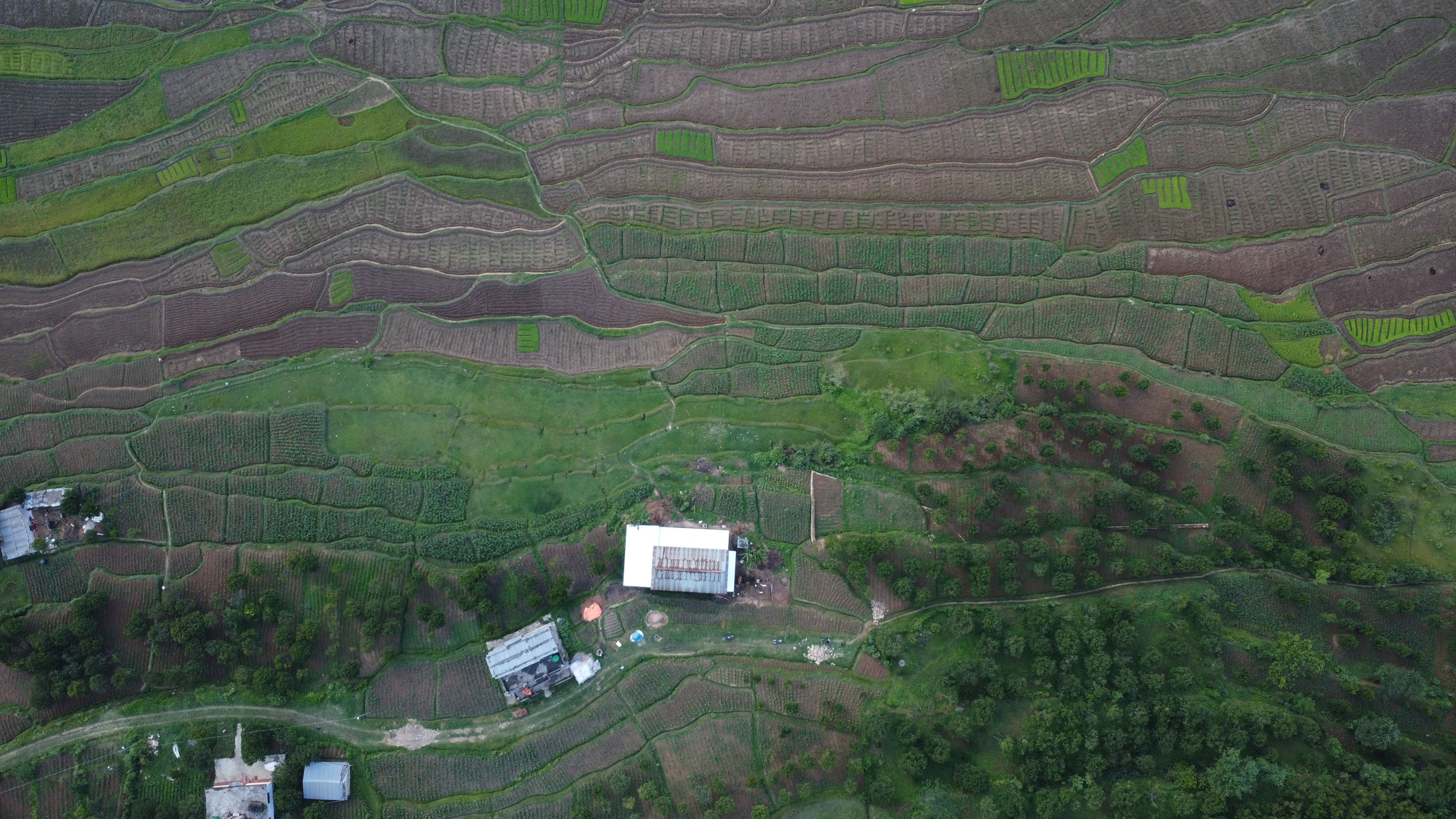 Amazing Mardi Himal Base Camp Heli Landing Tour From Pokhara Review: Your Gateway to the Himalayas Without the Trek Review 2026 - Aerial view of lush terraced fields in Panauti, Nepal, showcasing rural landscapes.