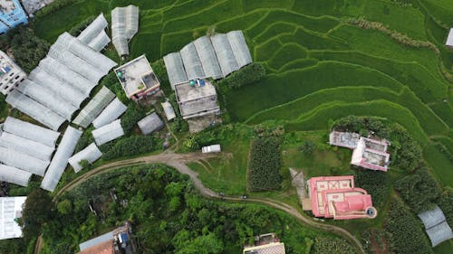 农场, 大棚, 屋頂 的 免费素材图片