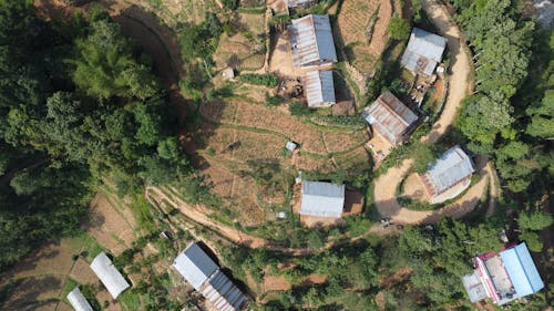 Ingyenes stockfotó drónfelvétel, fák, falu témában