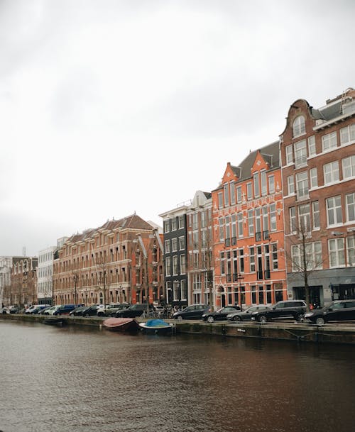 건물, 네덜란드, 도시의 무료 스톡 사진