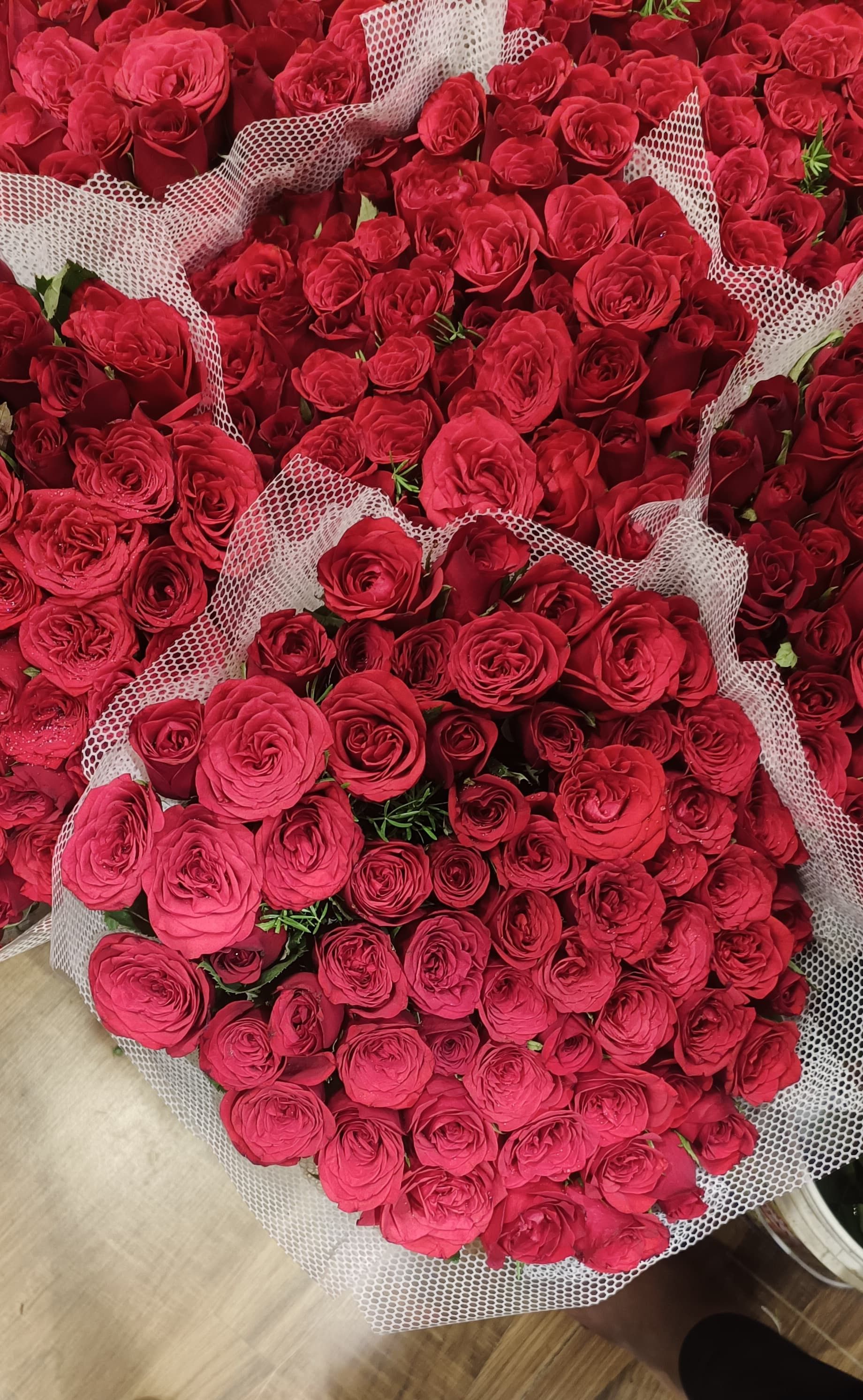 Red roses wrapped as a birthday gift