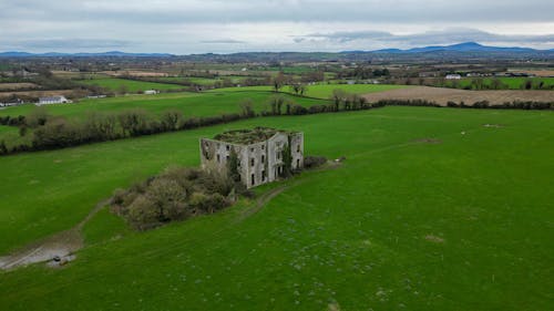 Clogrennane Castle House 