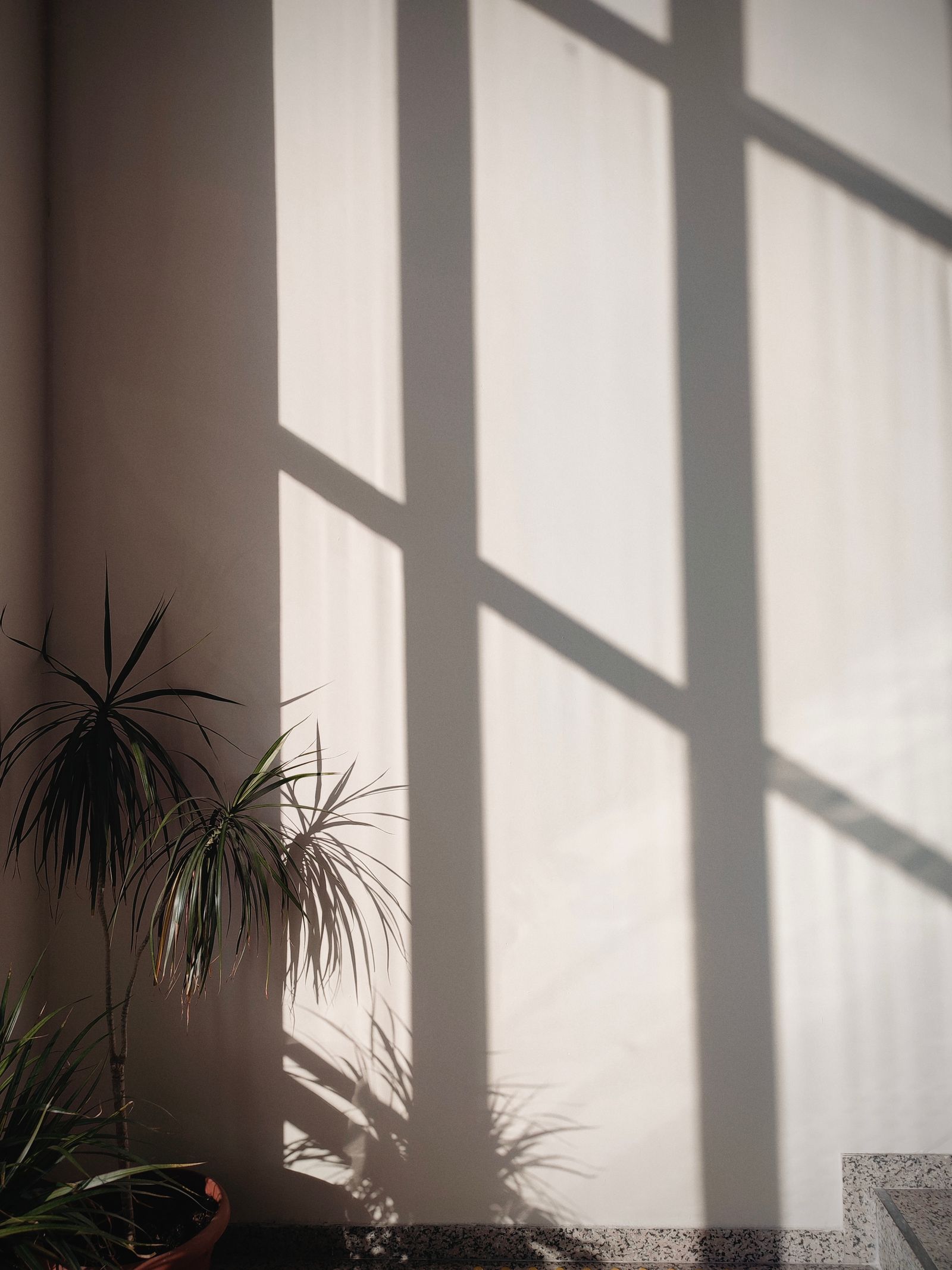 Sunlight casting geometric shadow patterns across an interior wall