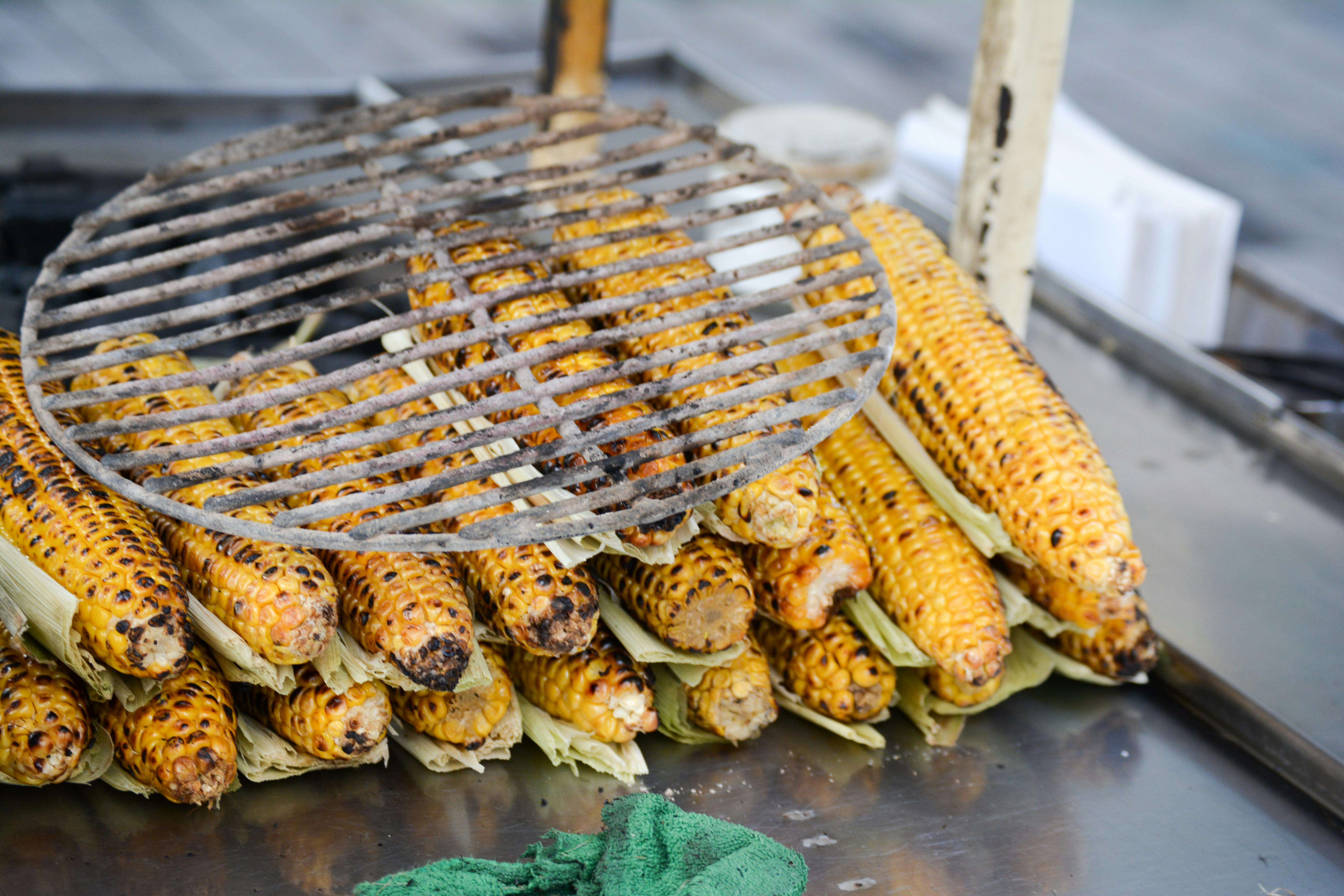 10 best specialty food festivals across the nation for 2026 — Photo by Antoun Boustani on Pexels