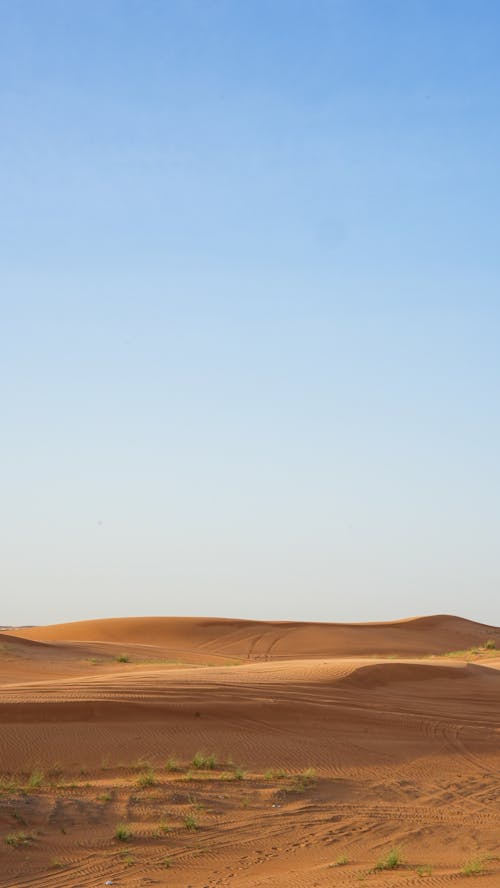 Foto d'estoc gratuïta de àrid, calor, cel clar