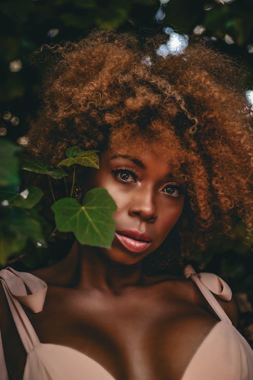 Základová fotografie zdarma na téma afro, brunetka, dospělý