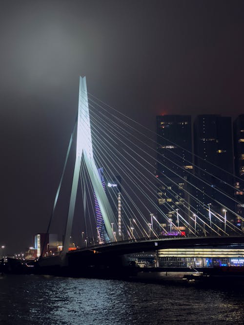 Erasmus bridge with night lights