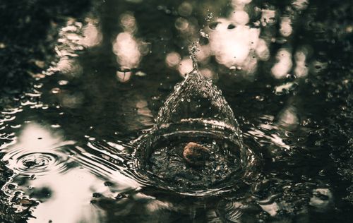 Free Capture of a water splash in a serene outdoor environment with reflections and natural light. Stock Photo