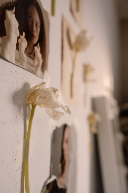 A wall with pictures and flowers on it