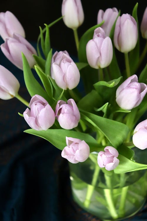 부케, 분홍색 꽃, 수직 쐈어의 무료 스톡 사진