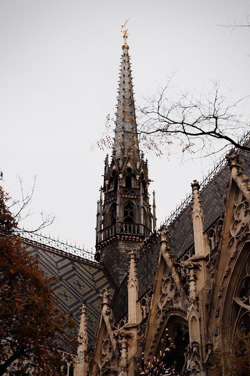 哥特式建筑, 垂直拍摄, 大教堂 的 免费素材图片