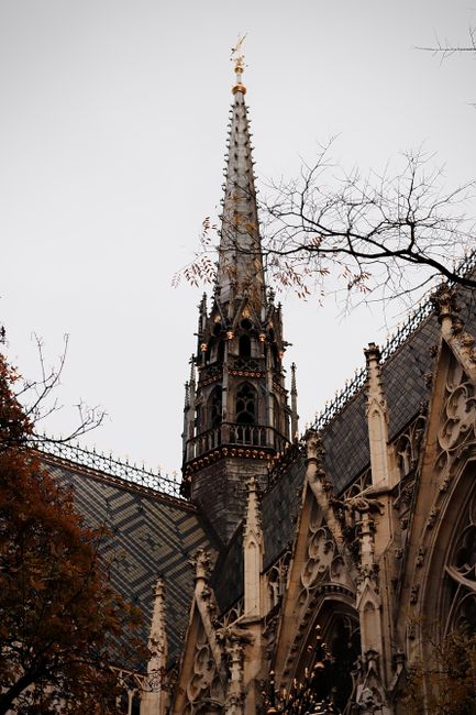 Photo by Nuray on pexels