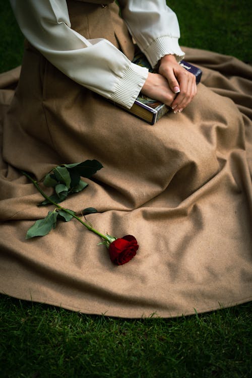 Darmowe zdjęcie z galerii z czerwona róża, elegancki, kobieta