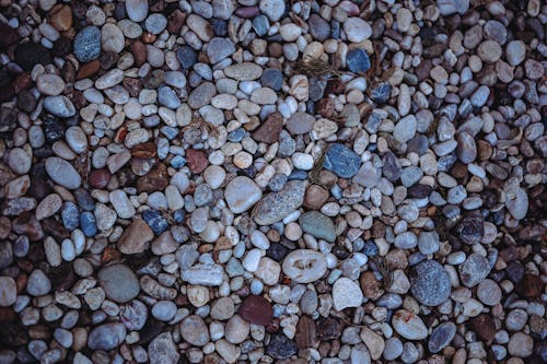 Close-up of Pebbles on the Ground 