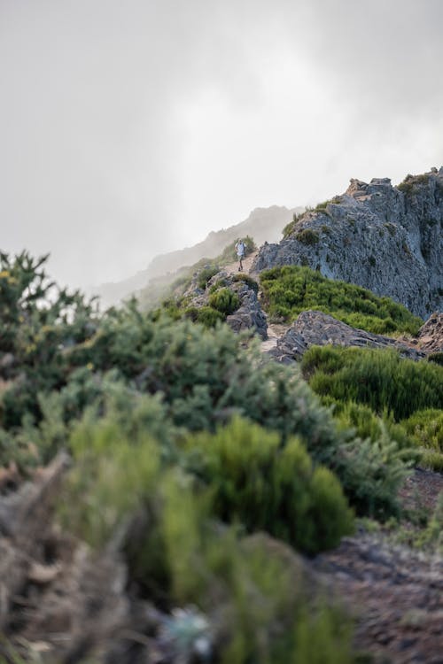 경치, 산, 수직 쐈어의 무료 스톡 사진