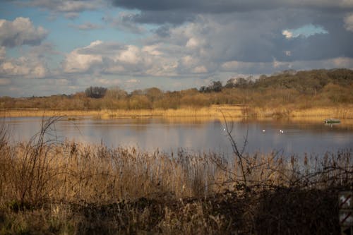 水, 湖, 米德爾頓 的 免費圖庫相片