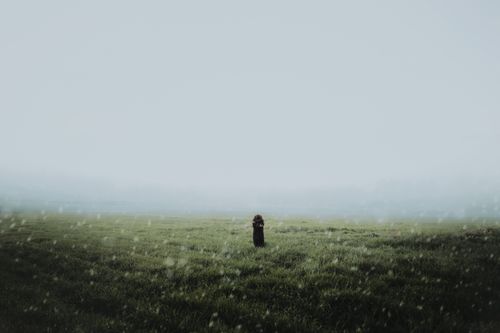 Free A solitary person standing in a misty grassland, evoking mystery and solitude. Stock Photo