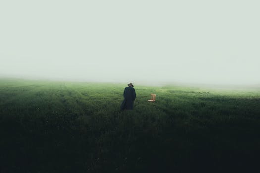 A lone figure stands in a foggy green landscape, evoking mystery and solitude.