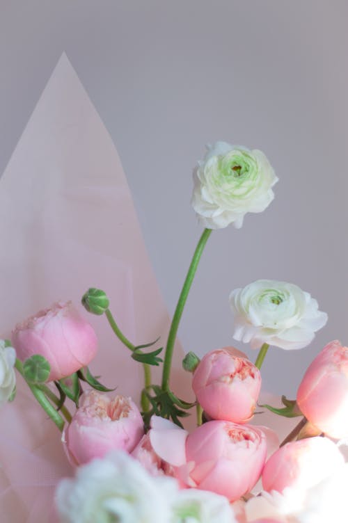 Gratis stockfoto met bloemen, boeket, roze