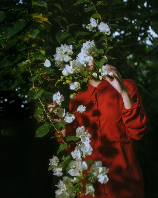A woman in a red dress stands amidst blooming white bougainvilleas in Veracruz, México.