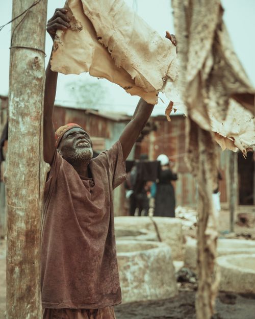 Free Senior man in rustic village drying animal hide outdoors, showcasing traditional techniques. Stock Photo