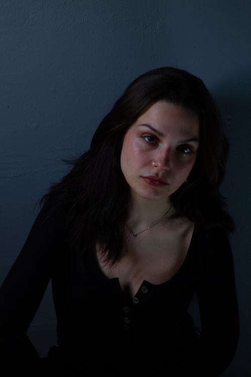 Free Dramatic portrait of a brunette woman in dim studio lighting for an artistic effect. Stock Photo