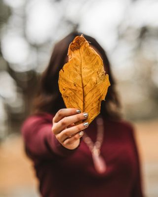 A person holding a large yellow leaf, symbolizing autumn and nature's beauty.