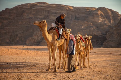 Man Riding on a Camel 