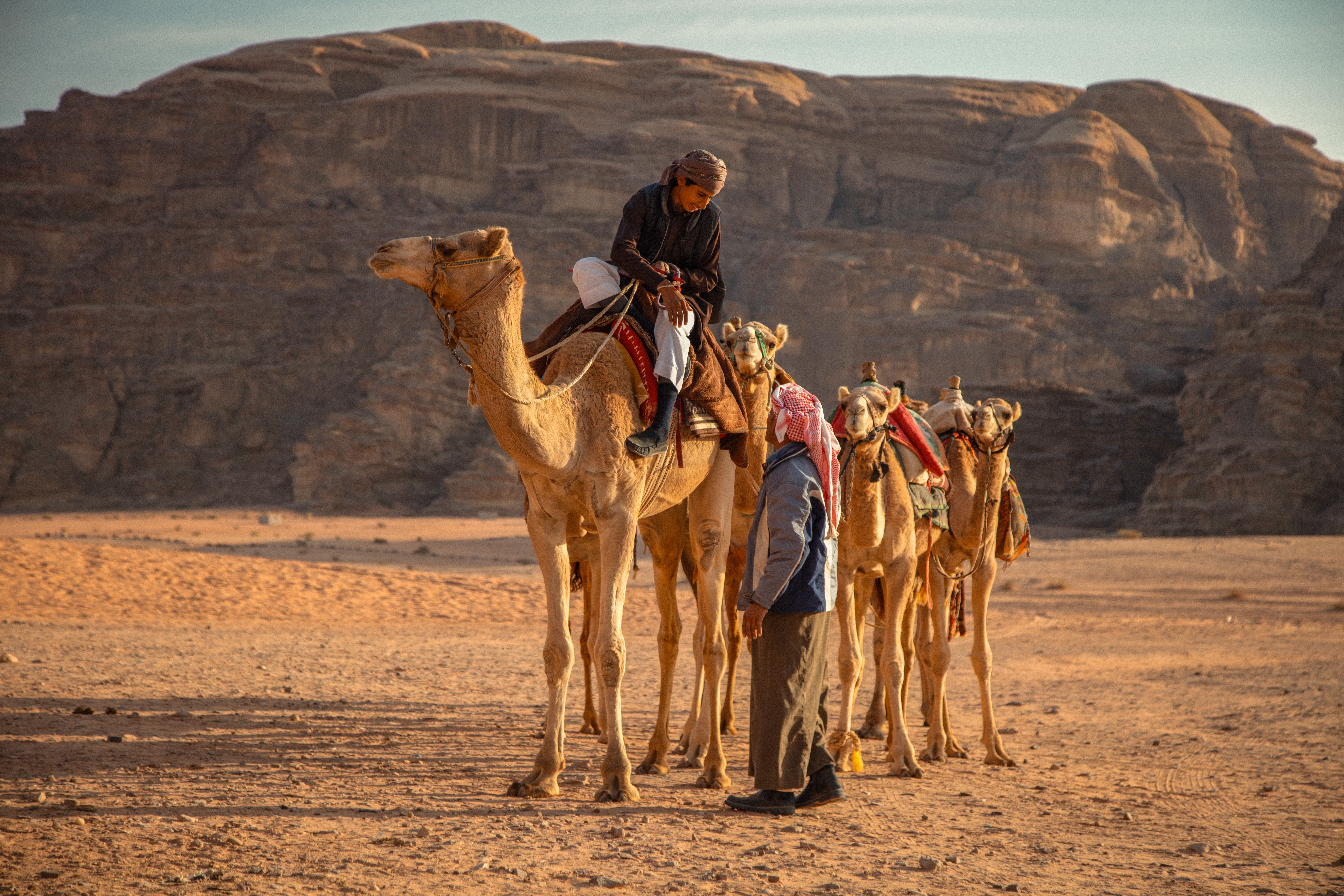Man Riding on a Camel · Free Stock Photo