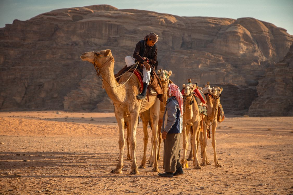 Man Riding on a Camel · Free Stock Photo