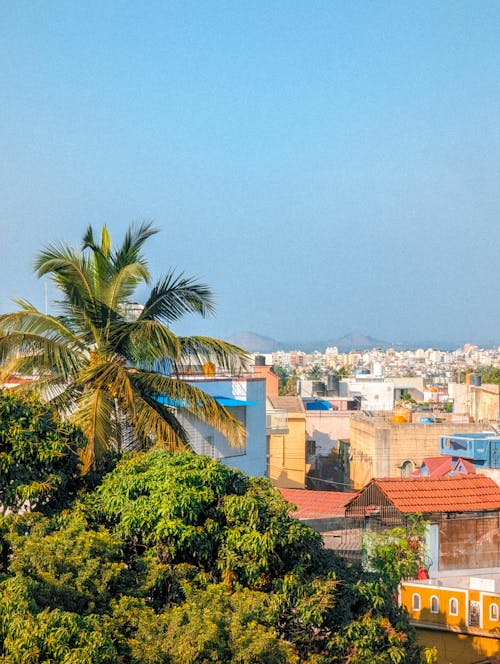 A view of the city from a rooftop