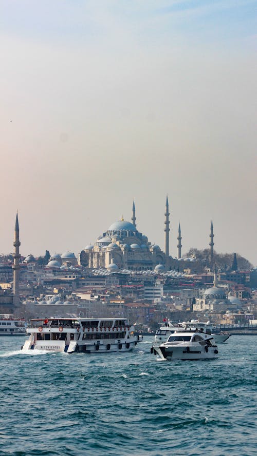 Mosque over Sea Coast of Istanbul