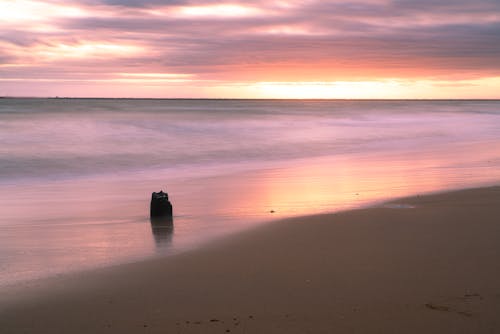 View of a Beach and Sea under a Pink Sunset Sky 