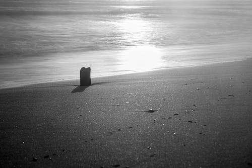 Darmowe zdjęcie z galerii z czarno-biały, morze, natura