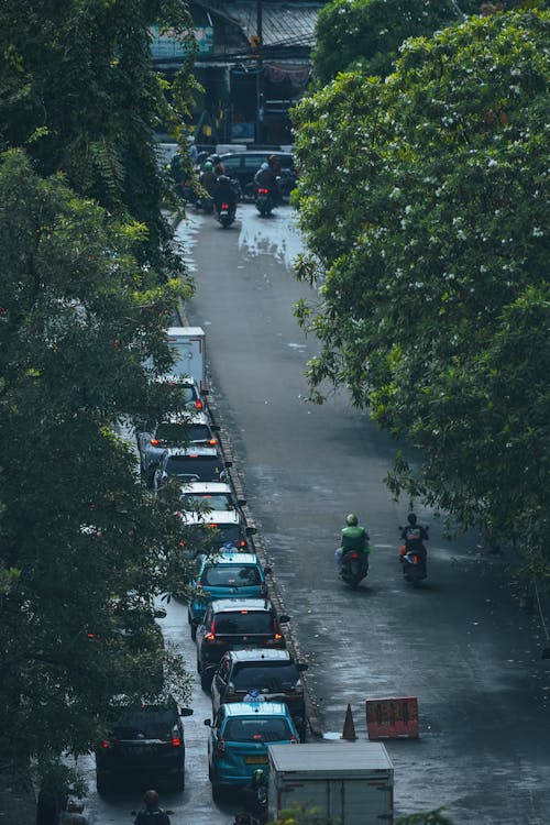 Fotos de stock gratuitas de arboles, calle, calles de la ciudad