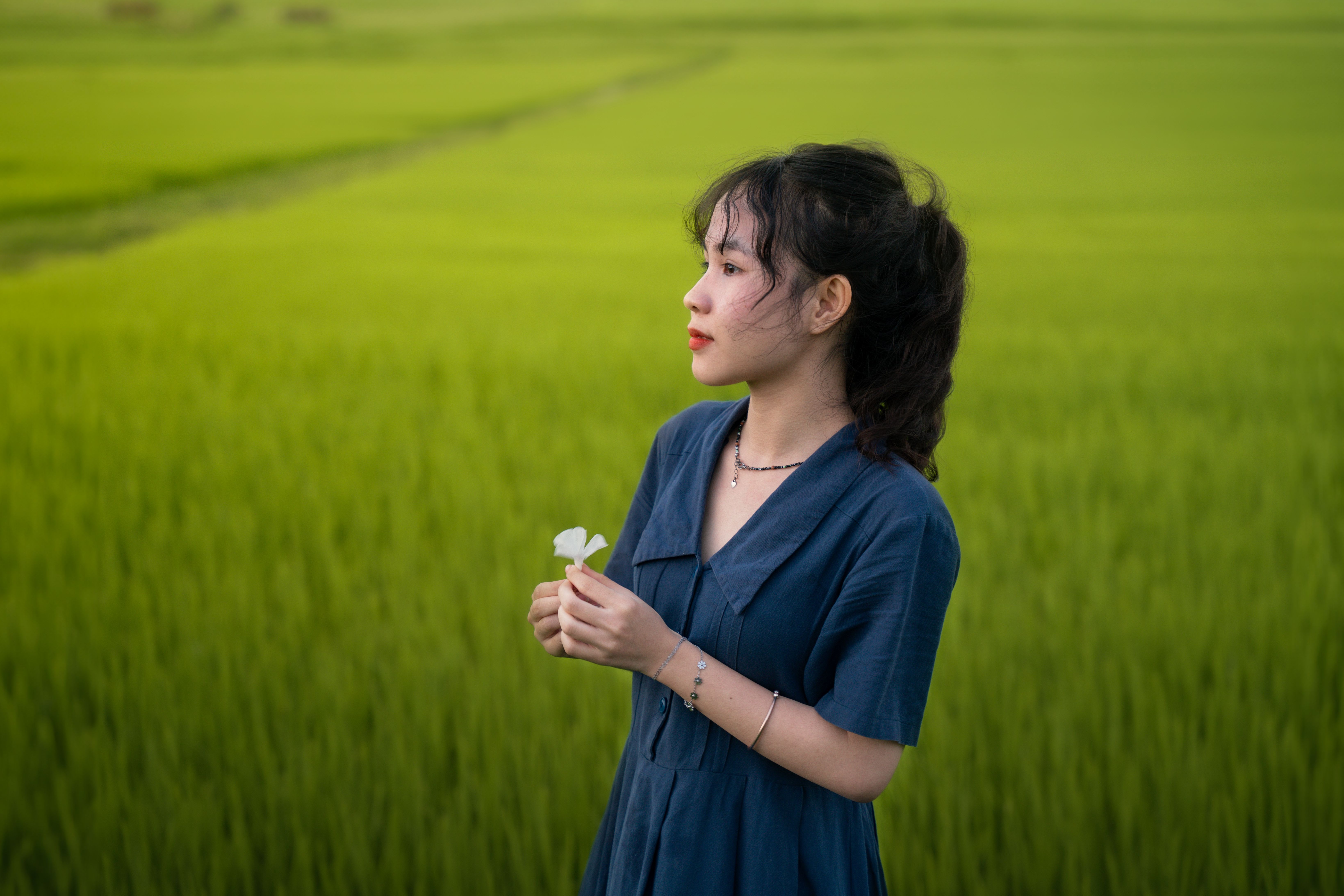 Woman in Blue Dress Standing in Field Holding White Flower · Free Stock ...