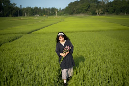 A woman walking through a field of green rice