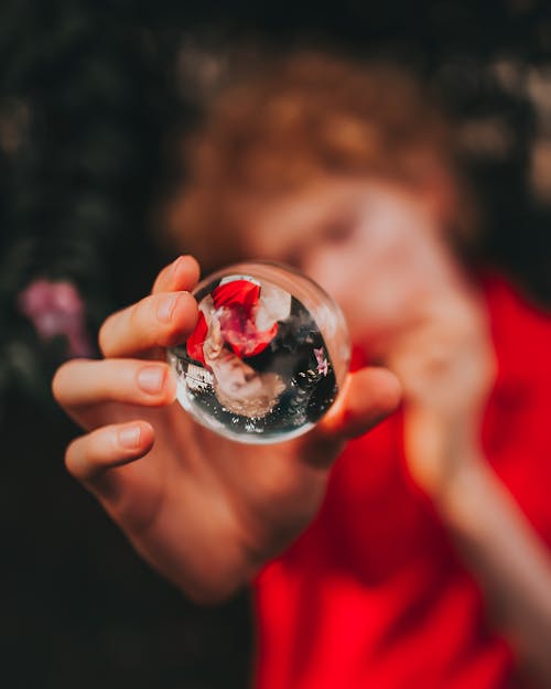 Lensball'un Seçmeli Odaklı Fotoğrafçılığı