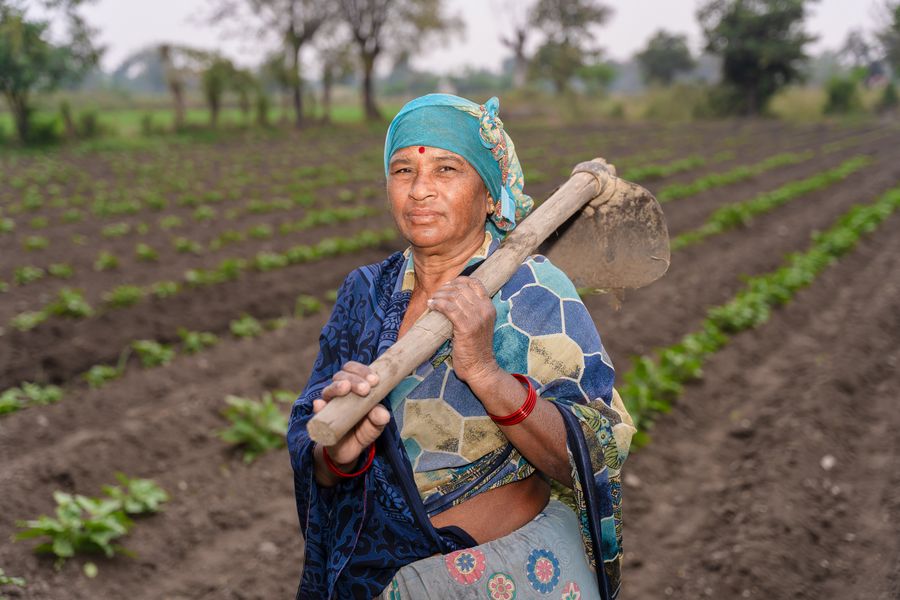 Indian woman farmer working in a green field